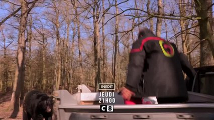 Les enquêtes de TPMP - 12 avril