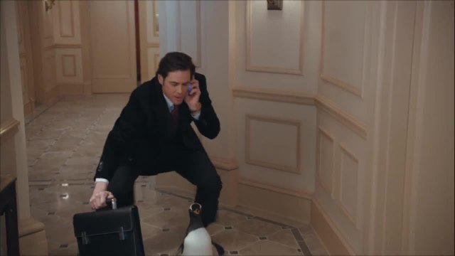 M. Popper et ses pingouins - 7 mars