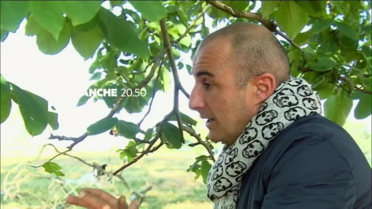 La basque attitude - 12 mars