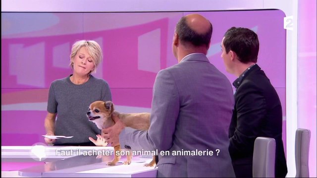 Sophie Davant recadre un de ses chroniqueurs en direct dans C'est au programme