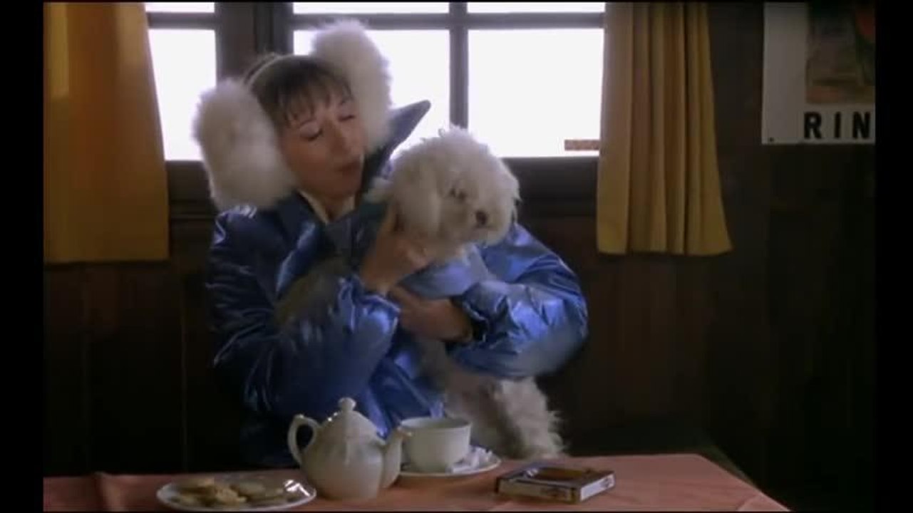 Les Bronzés font du ski  - 12 février