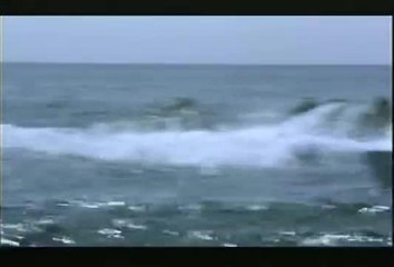 La veuve de Saint-Pierre - 7 août