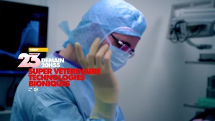 Super vétérinaire : technologies bioniques - 21 décembre