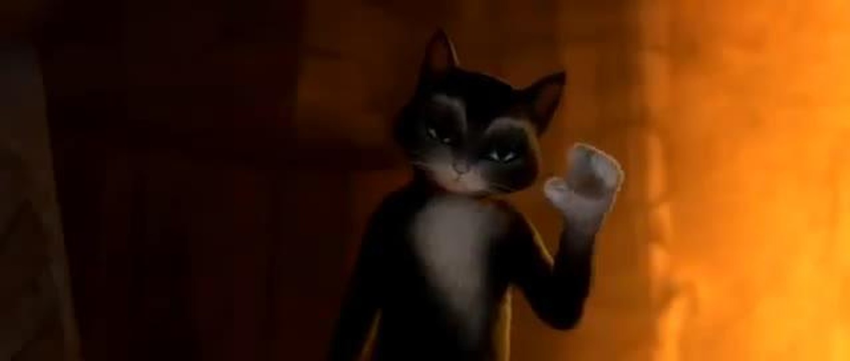 Le chat potté - 4 juin