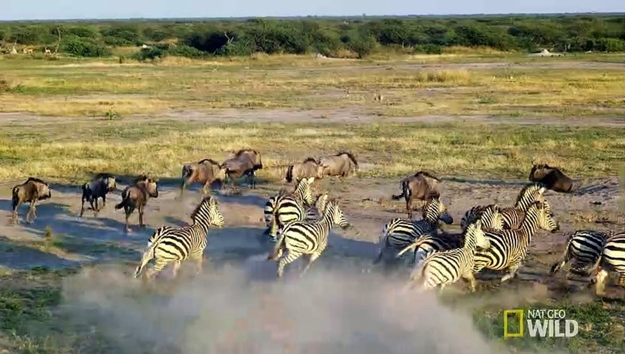 Savage Kingdom Saison 1 - Official Trailer | Savage Kingdom (EN)