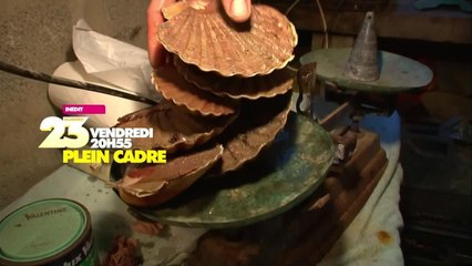 Plein cadre - 9 décembre