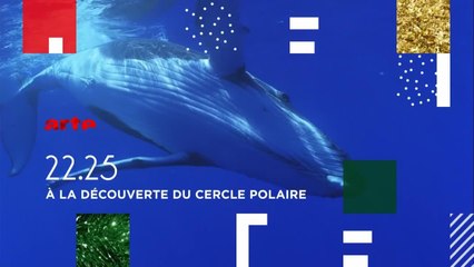 A la découverte du cercle polaire - 20 décembre