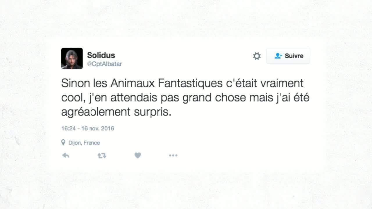 Les Animaux Fantastiques : qu'ont pensé les internautes du spin-off d'Harry Potter ? (REVUE DE TWEETS)