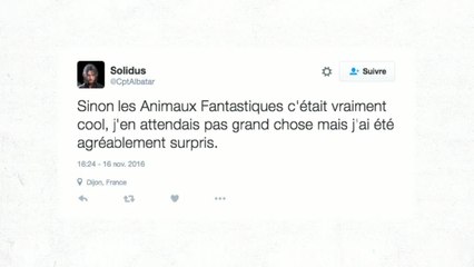 Les Animaux Fantastiques : qu'ont pensé les internautes du spin-off d'Harry Potter ? (REVUE DE TWEETS)