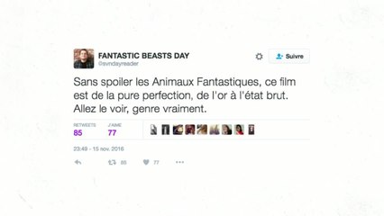 Les Animaux Fantastiques : qu'ont pensé les internautes du film ? (REVUE DE TWEETS)