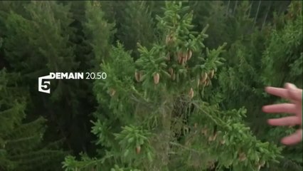 Échappées belles - 26 novembre