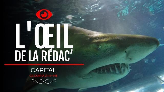 L'œil de la rédac' : Que vaut ce numéro de Capital sur le business des sensations fortes ?