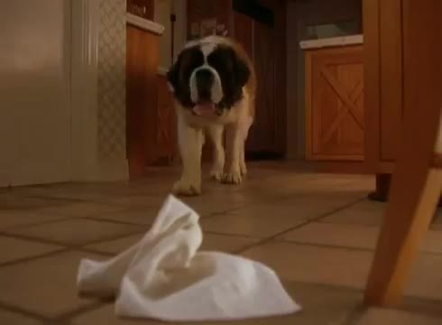 Beethoven 4 (bande-annonce)