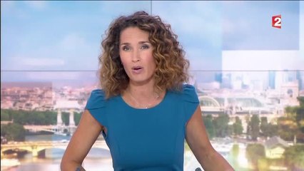 Marie-Sophie Lacarrau présente les excuses de France 2 après le gros bug au 20 heures