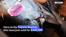 Japan tuna auctioned for $145,000 sliced, diced and served