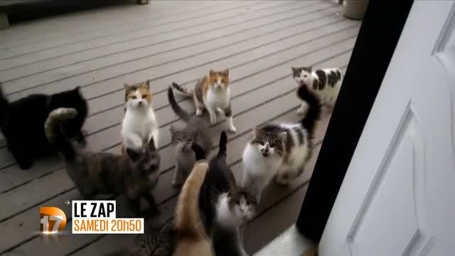 Bande-annonce - Le Zap (D17) Samedi 11 juin à 20h50