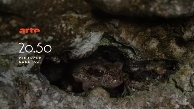 Bande-annonce - La Splendeur des Bahamas (Arte) Dimanche 10 Juillet à 20h50