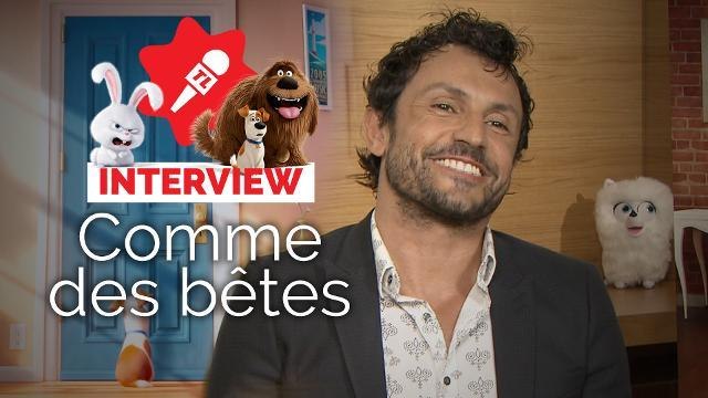 Comme des bêtes : François Damiens, Willy Rovelli et le réalisateur nous racontent ! (INTERVIEW VIDÉO)