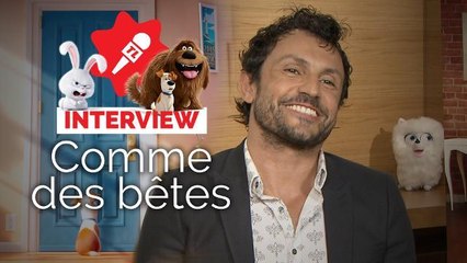 Comme des bêtes : François Damiens, Willy Rovelli et le réalisateur nous racontent ! (INTERVIEW VIDÉO)