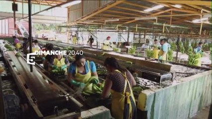 Bande-annonce - Hold-up sur la banane (France 5) dimanche 26 mai à 20h40