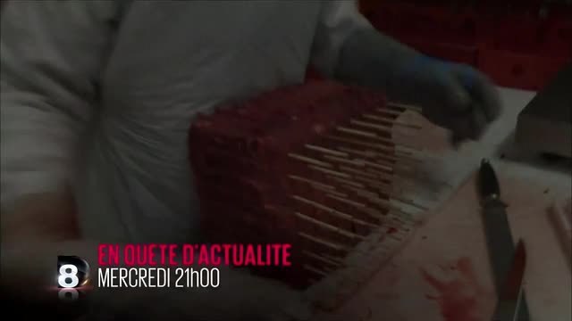 Bande-annonce - En quête d'actualité (D8) Mercredi 15 juin à 21h00