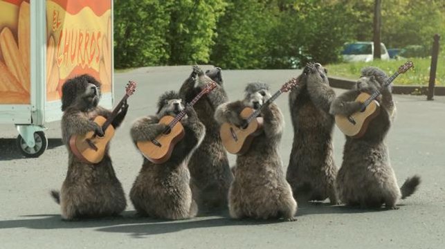 Exclu. Les marmottes de France 3 sont bientôt de retour pour habiller l'antenne cet été