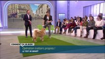 Stéphane Bern ramasse des crottes de chien