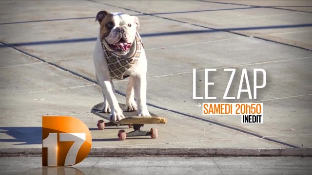 Bande-annonce - Le zap (D17) Samedi 21 mai à 20h50
