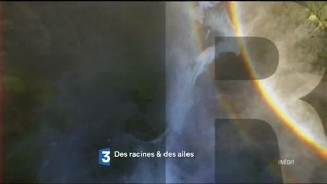 Bande-annonce - Des Racines et des Ailes (France 3) Mercredi 6 avril