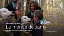 Bande-annonce Le monde de Jamy (France 3)- Mercredi 20 avril à 20h55