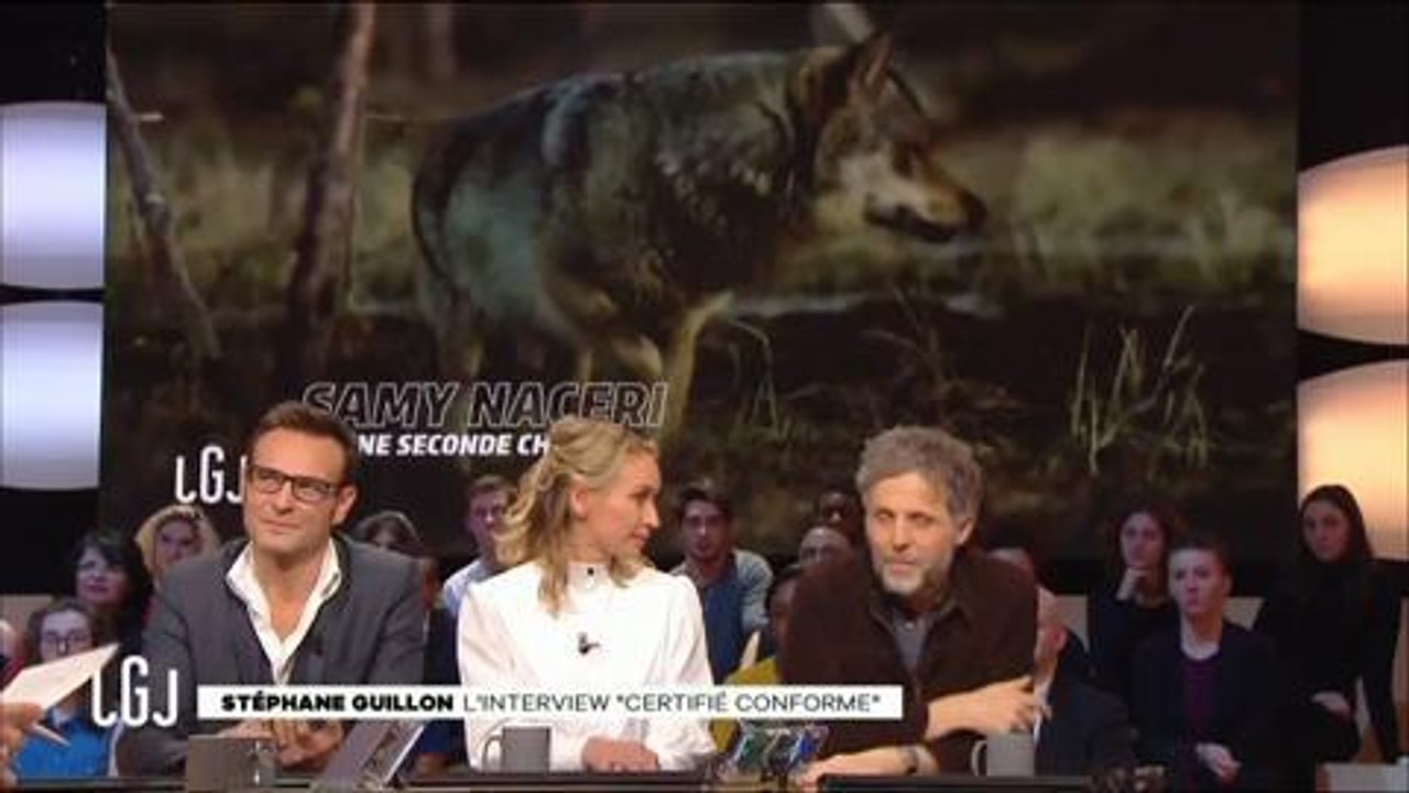 Le Grand Journal : Stéphane Guillon est touché par le clip de Samy Nacéri