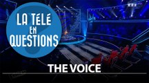 Les talents sont-ils payés lors de leur passage dans The Voice ? (La télé en questions)