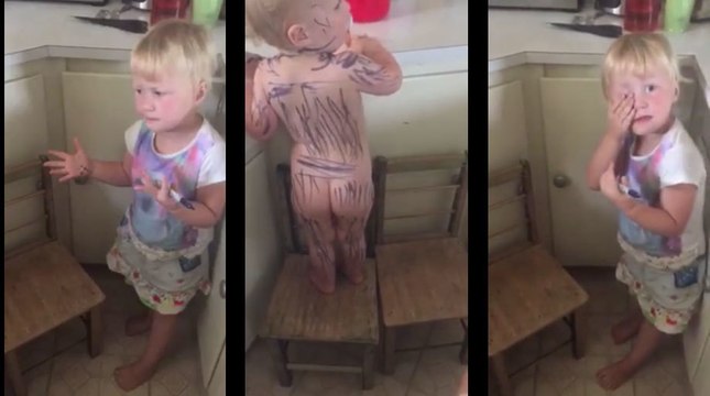 Trop mignon : elle tente de transformer sa soeur... en zèbre ! Le Zapping Web