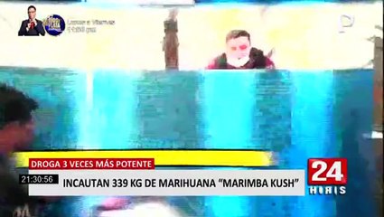 Trujillo: PNP decomisó 339 kilos de nueva cepa se marihuana conocida como 'marimba kush'