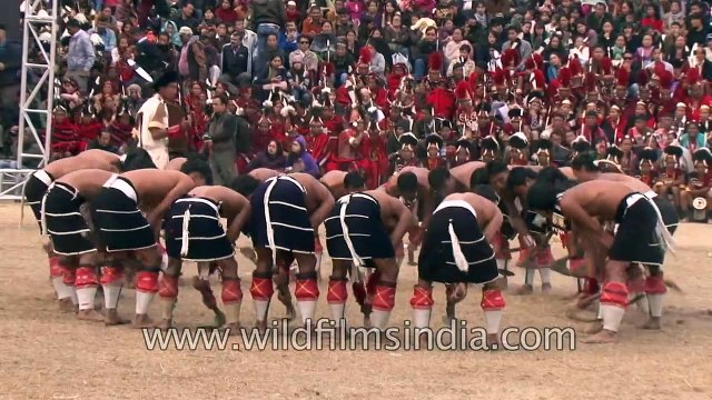 Chakhesang Naga menfolks enact ploughing the fields with traditional spades