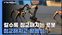 갈수록 정교해지는 로봇...일상 속으로 한발 더 / YTN