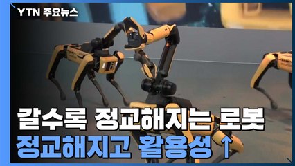 갈수록 정교해지는 로봇...일상 속으로 한발 더 / YTN