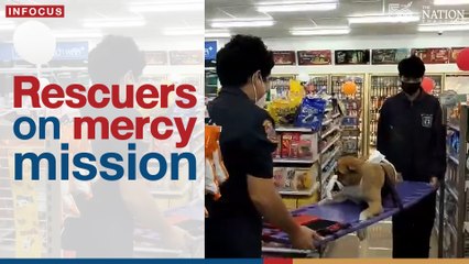Rescuers on mercy mission | The Nation Thailand