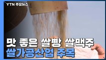 [녹색] 맛좋은 쌀빵 쌀맥주...쌀가공산업 주목 / YTN