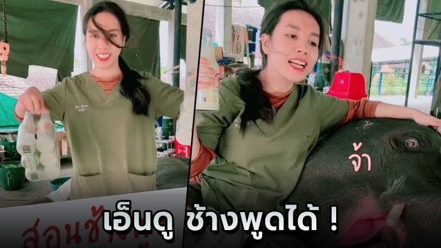 เอ็นดู คุณหมอสอนช้างพูด ใช้ของกินมาล่อ พูดจ้า เสียงดังฟังชัด