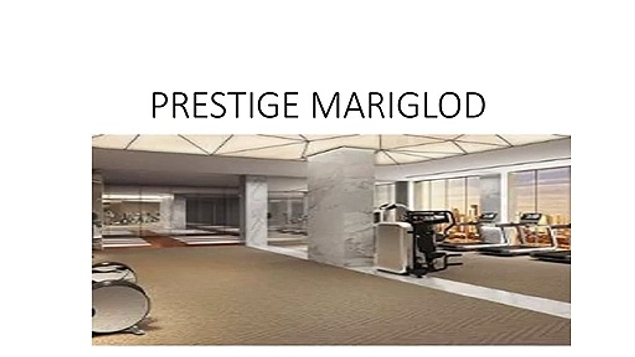 PRESTIGE MARIGLOD (2)