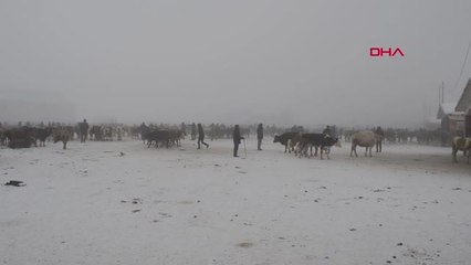 PAZARDAKİ HAYVANLARIN TÜYLERİ SOĞUKTAN KIRAĞI TUTTU