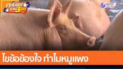 ไขข้อข้องใจ ทำไมหมูแพง (6 ม.ค. 65) คุยโขมงบ่าย 3 โมง