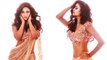 Shweta Tiwari Oozes Hotness & Flaunts Sexy Curves In Saree
