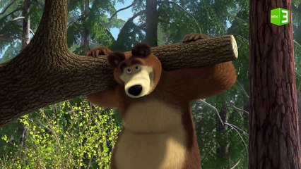 تمارين الدب الصباحية