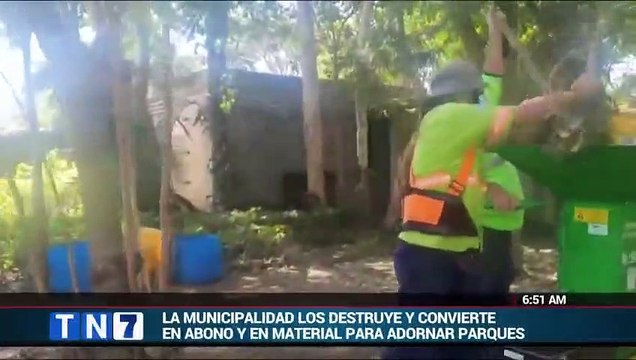 TN7 Matutina - Buen Día 06 Enero 2022 (8077)