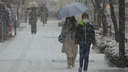 Un fuerte temporal de nieve mantiene a Tokio y los alrededores en alerta