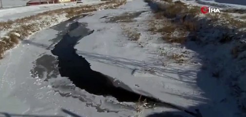 Erzurum’da kurt ayakta dondu