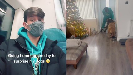 'UK man returns home and finds out how much his dogs missed him *Sweet Reunion*'