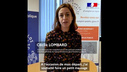 Présentation de Place de l'Emploi Public, genèse et perspectives d'évolution